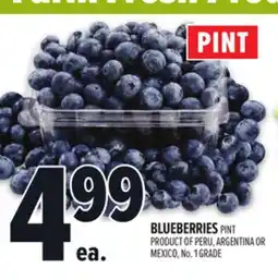 Metro BLUEBERRIES offer
