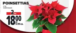 Metro POINSETTIAS offer