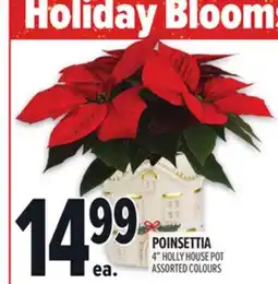 Metro POINSETTIA offer
