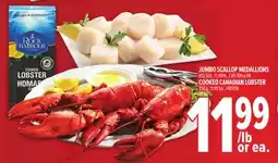 Metro JUMBO SCALLOP MEDALLIONS offer