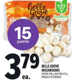 Metro BELLE GROVE MUSHROOMS OYSTER offer