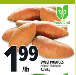 Metro SWEET POTATOES offer