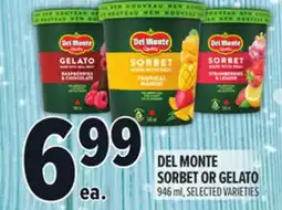 Metro DEL MONTE SORBET OR GELATO offer