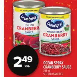 Metro OCEAN SPRAY CRANBERRY SAUCE offer