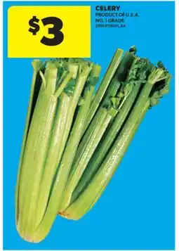 Real Canadian Superstore CELERY offer