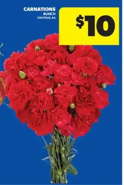 Real Canadian Superstore CARNATIONS, BUNCH offer