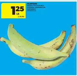Real Canadian Superstore PLANTAIN offer