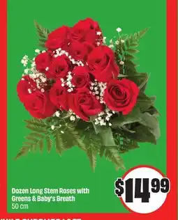 FreshCo Dozen Long Stem Roses with Greens & Baby's Breath 50 cm offer