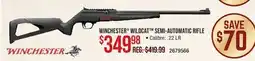 Cabela's WINCHESTER WILDCAT SEMI-AUTOMATIC RIFLE offer