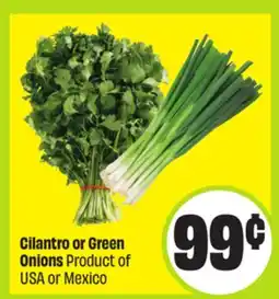 FreshCo Cilantro or Green Onions Product of USA or Mexico offer