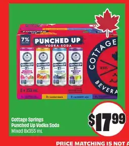 FreshCo Cottage Springs Punched Up Vodka Soda Mixed 8x355 mL offer