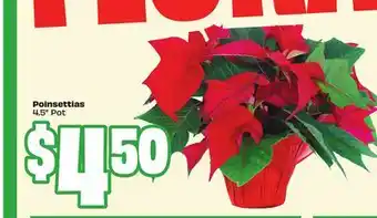 FreshCo Poinsettias 4.5 Pot offer