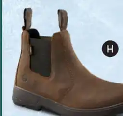 L'équipeur WindRiver Shoes + Boots offer