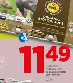 Avril oeufs bruns bios de poules en liberté calibre moyen offer