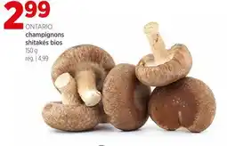 Avril champignons shitakés bios offer