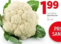 Avril chou-fleur bio offer