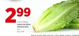 Avril cœurs de laitue romaine bios offer