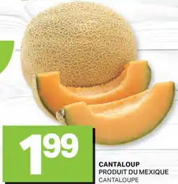 L'Intermarché CANTALOUP CANTALOUP | CANTALOUPE offer