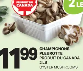 L'Intermarché CHAMPIGNONS PLEUROTTE | OYSTER MUSHROOMS, 2 LB offer