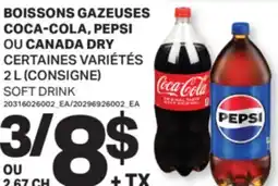 L'Intermarché BOISSONS GAZEUSES COCA-COLA, PEPSI PU CANADA DRY | SOFT DRINKS, 2 L offer