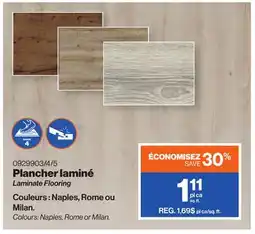 Patrick Morin Laminate Flooring offer