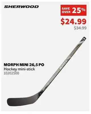 Sports Experts SHERWOOD MORPH MINI 26, 5 PO Hockey mini-stick offer