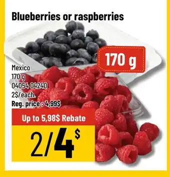 Mayrand Blueberries or raspberries offer