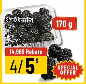 Mayrand Blackberry 170 g offer