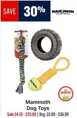 Ren’s Pets Depot Mammoth Dog Toys offer