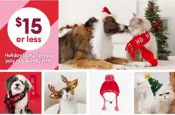 Petsmart Holiday looks for your jolly pup & cozy kitty offer