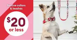 Petsmart Festive collars & leashes offer