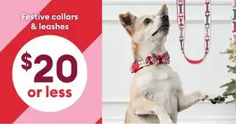 Petsmart Festive collars & leashes offer