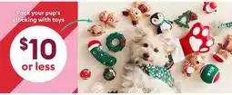 Petsmart Pack your pup's stocking with toys offer