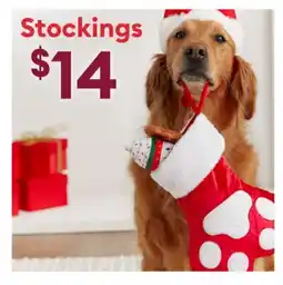 Petsmart Stockings offer