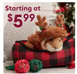 Petsmart Shop Small Animal offer