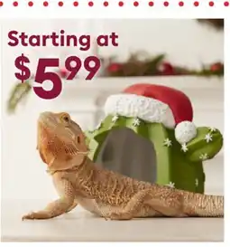Petsmart Shop Reptile offer