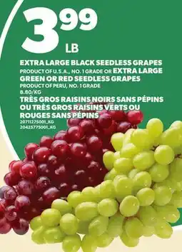 Independent City Market EXTRA LARGE BLACK SEEDLESS GRAPES OR EXTRA LARGE GREEN OR RED SEEDLESS GRAPES offer