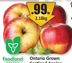 Starsky Cortland Apples offer