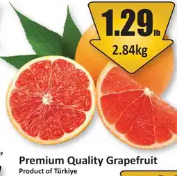 Starsky Premium Quality Grapefruit offer