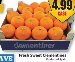 Starsky Fresh Sweet Clementines offer