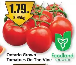 Starsky Tomatoes On-The-Vine offer