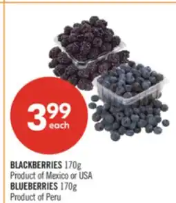 Shoppers Drug Mart BLACKBERRIES 170g or BLUEBERRIES 170g offer