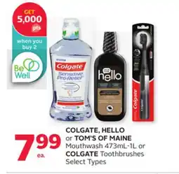 Rexall COLGATE, HELLO or TOM'S OF MAINE Mouthwash 473mL-1L or COLGATE Toothbrushes offer