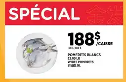Kim Phat WHITE POMFRETS offer