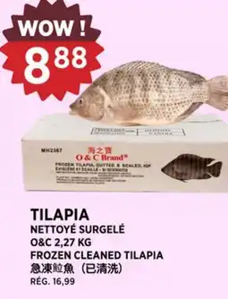 Kim Phat O&C FROZEN CLEANED TILAPIA offer