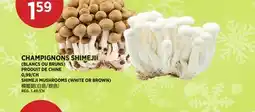 Kim Phat SHIMEJI MUSHROOMS (WHITE OR BROWN) offer