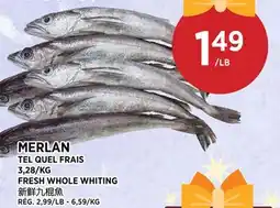 Kim Phat FRESH WHOLE WHITING offer