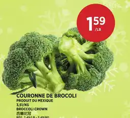 Kim Phat BROCCOLI CROWN offer