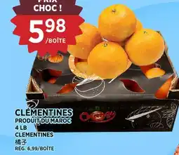 Kim Phat CLEMENTINES offer