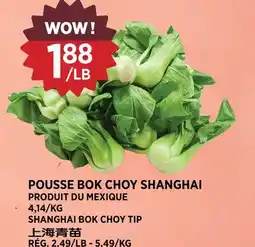 Kim Phat SHANGHAI BOK CHOY TIP offer